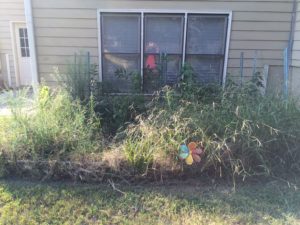 overgrown raised bed