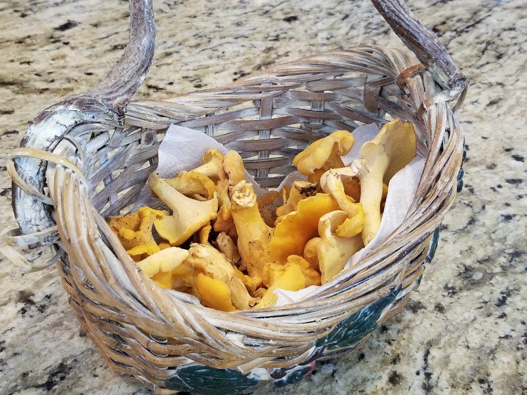 Chanterelle Quinoa (One Skillet Meal)