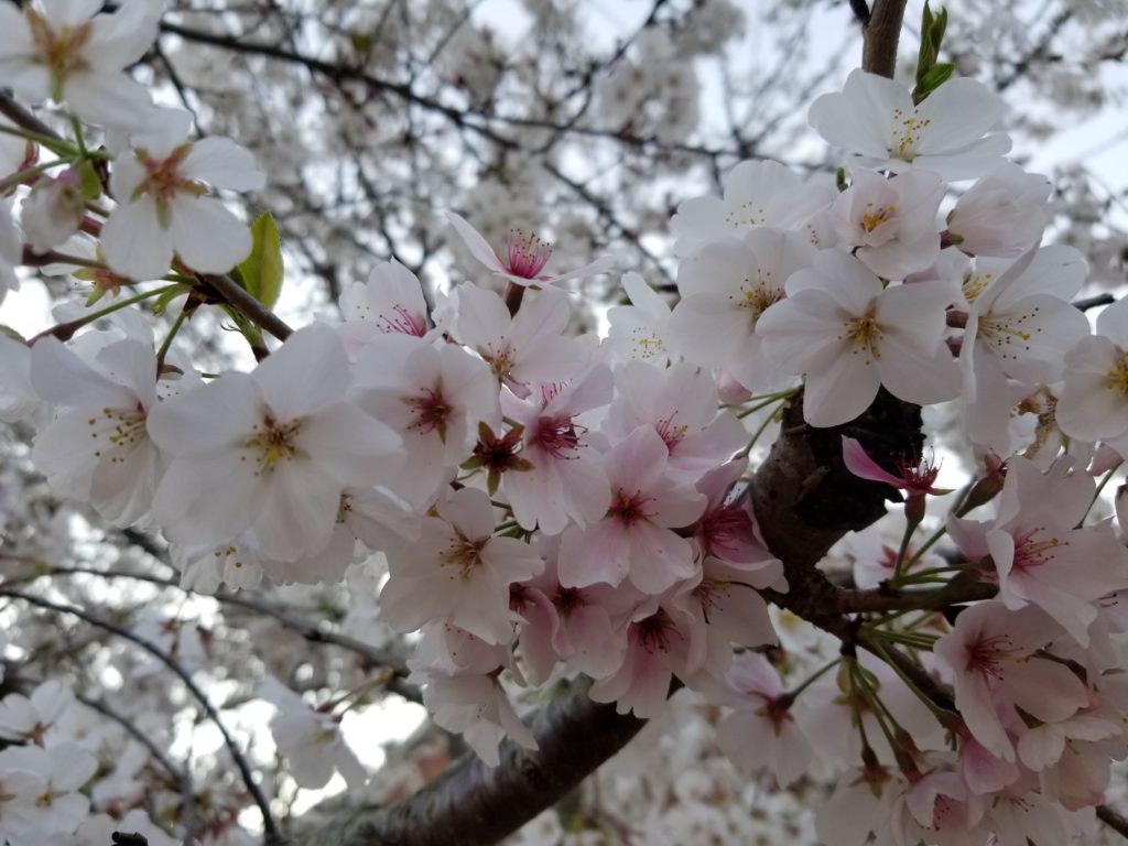 Spring Start